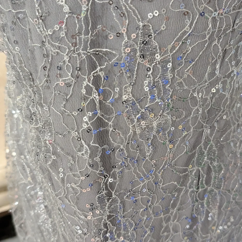 Silver Lace and Sequin Column Gown - Picture 3 of 4